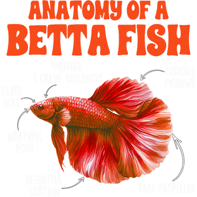Anatomy of a Betta Fish DTF (direct-to-film) Transfer