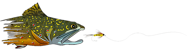 Fish Chasing Bait DTF (direct-to-film) Transfer