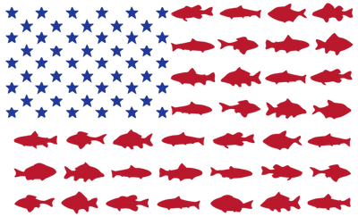 Fish Flag DTF (direct-to-film) Transfer