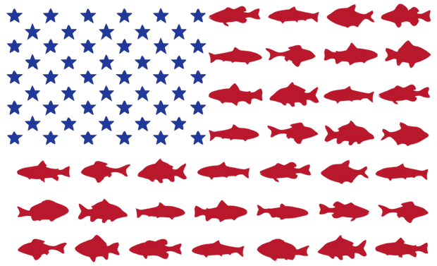 Fish Flag DTF (direct-to-film) Transfer