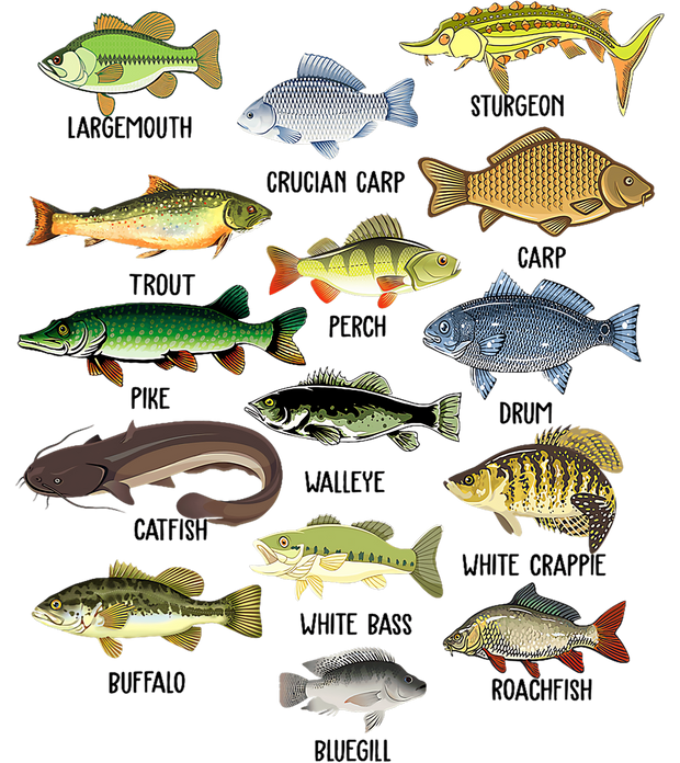 Fish Identified DTF (direct-to-film) Transfer