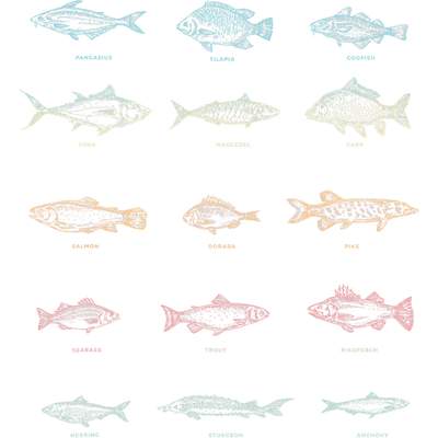 Fish of 5 Colors DTF (direct-to-film) Transfer