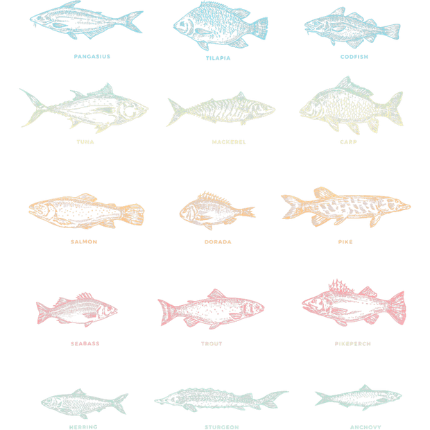 Fish of 5 Colors DTF (direct-to-film) Transfer