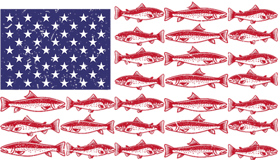 Flag of Fish DTF (direct-to-film) Transfer