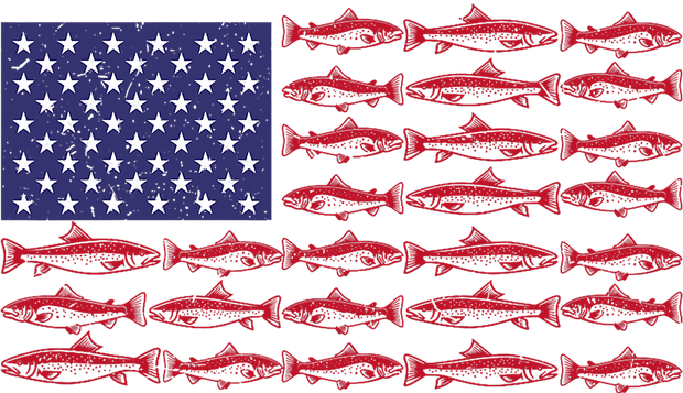 Flag of Fish DTF (direct-to-film) Transfer