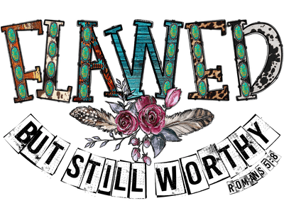 Flawed but Still Worthy Romans DTF (direct-to-film) Transfer