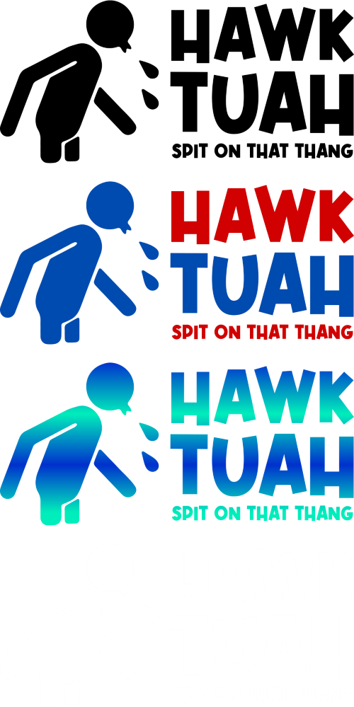 Hawk Tuah Hawk Tuah Hawk Tuah DTF (direct-to-film) Transfer