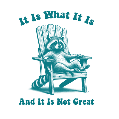 It is Not Great Raccoon in Chair DTF (direct-to-film) Transfer