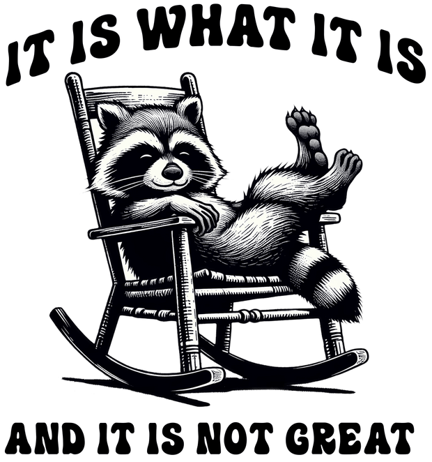 It is Not Great Rocking Raccoon DTF (direct-to-film) Transfer