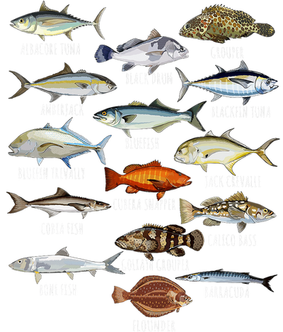 Rows of Random Fish DTF (direct-to-film) Transfer