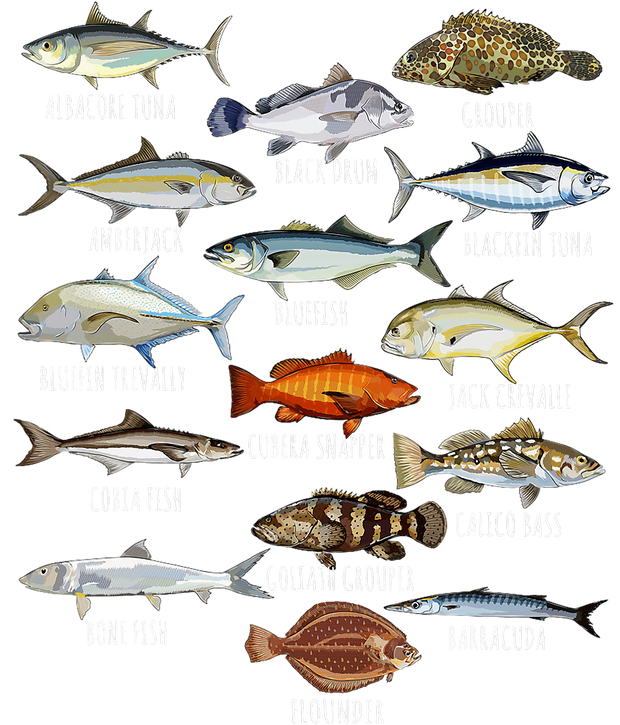 Rows of Random Fish DTF (direct-to-film) Transfer