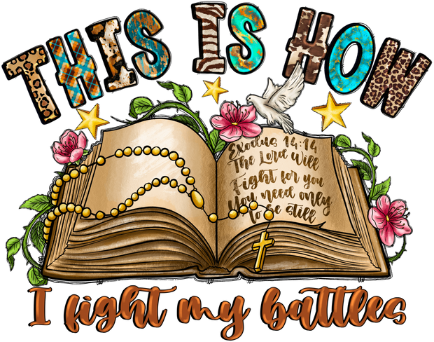 This is How I Fight Bible DTF (direct-to-film) Transfer