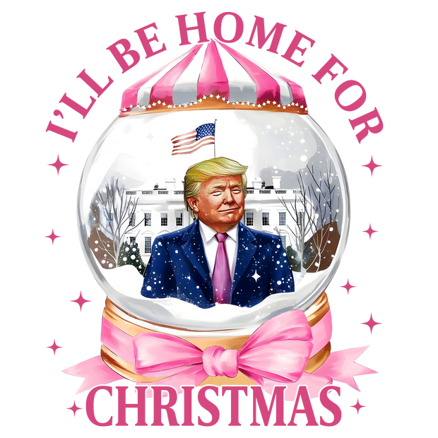 Trump in Snow Globe DTF (direct-to-film) Transfer