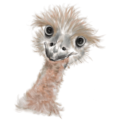 White Emu DTF (direct-to-film) Transfer