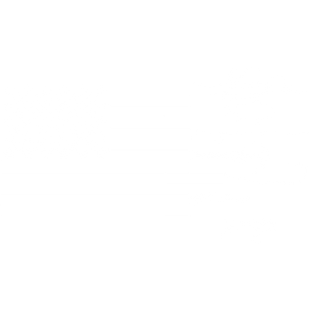 White Flag DTF (direct-to-film) Transfer