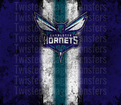 Basketball Hornets
